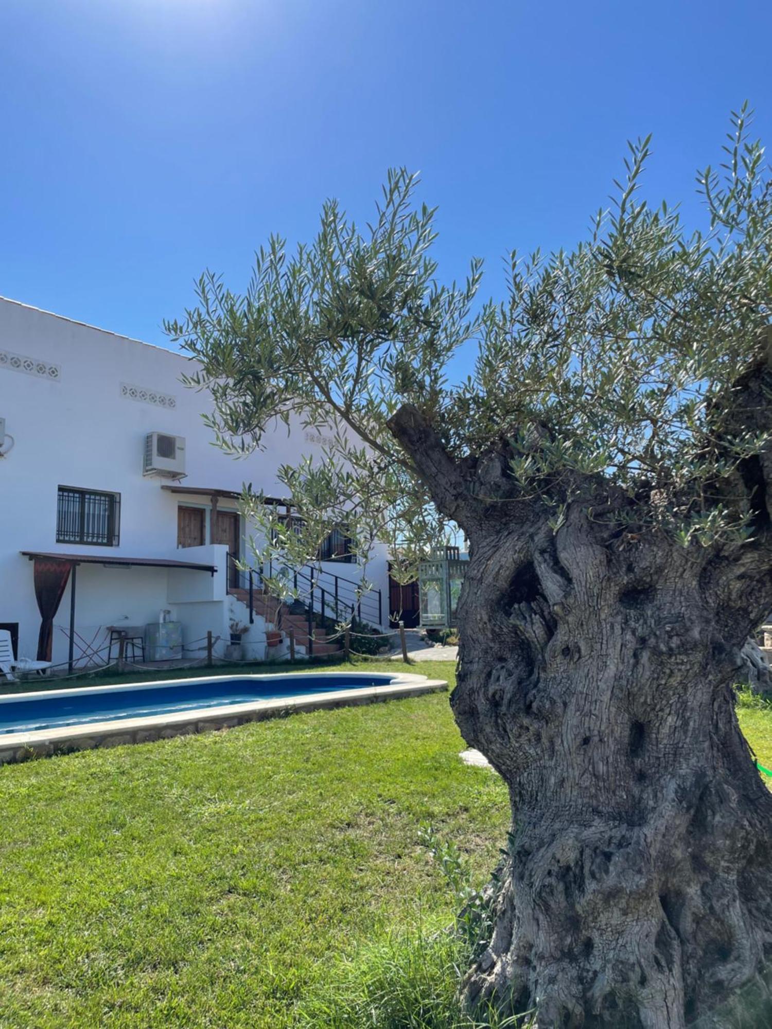 Casa Rural El Miajon Villa El Campo  Exterior photo